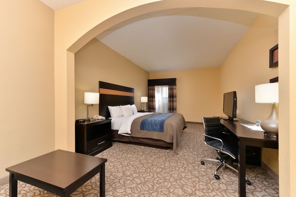 Comfort Inn Suites At Stone Mountain 21/39
