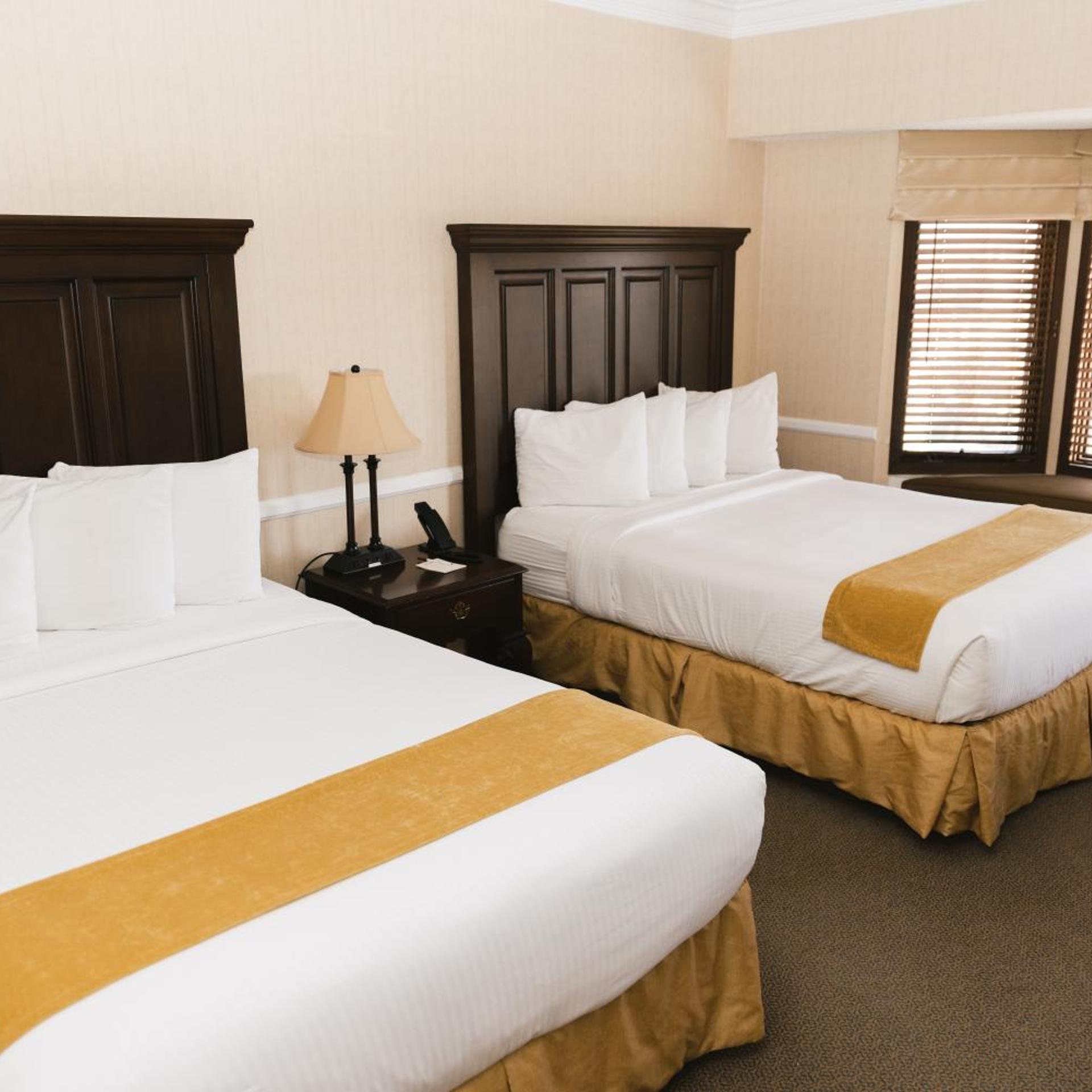 Grand, Tower, Executive, Suite, 2 Queen Beds
