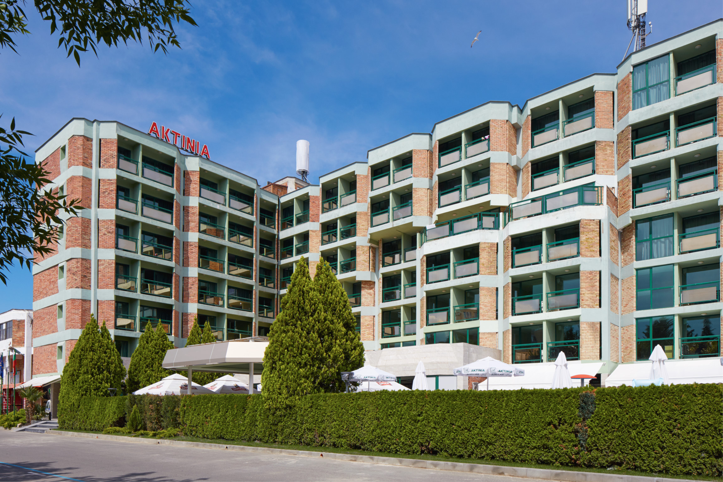 Aktinia Hotel 1/33