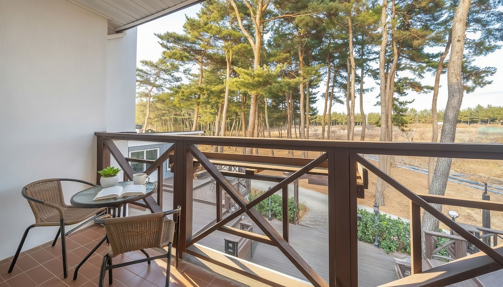 Gangneung My & Serra Pension 38/50
