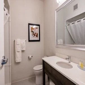 Amsterdam Inn & Suites, an Ascend Collection Hotel 49/52