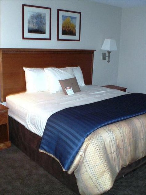 Candlewood Suites Roswell 15/50