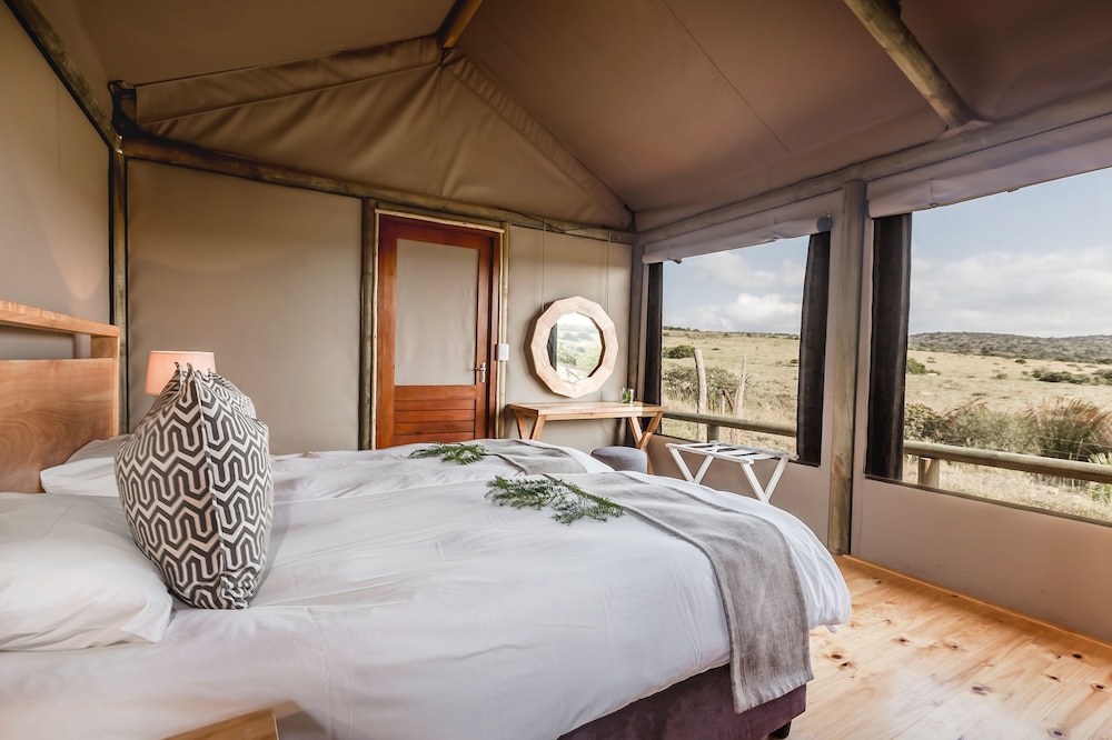 Room at Hlosi Game Lodge, PATERSON