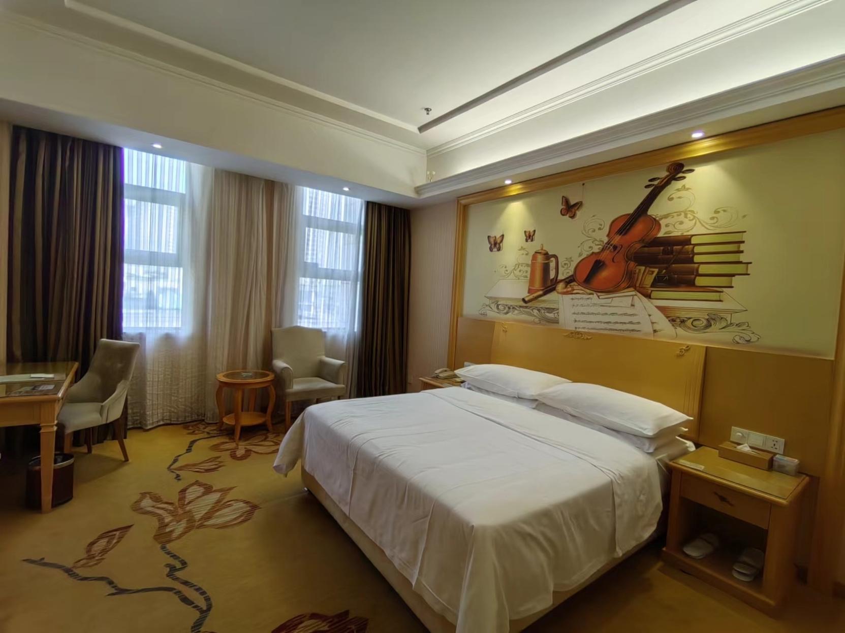 Vienna Hotel (Chongqing Hechuan High-Speed Railway Station) photo4