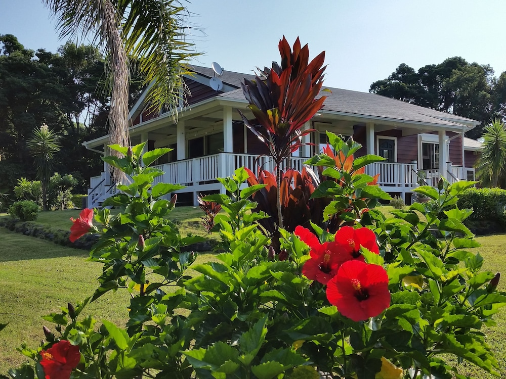 Cottage Hana Mana 40/50