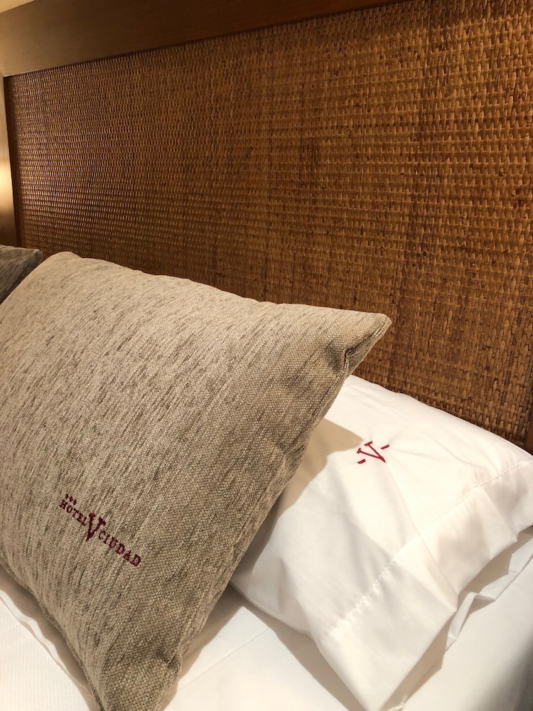 HOTEL V. CIUDAD 13/24