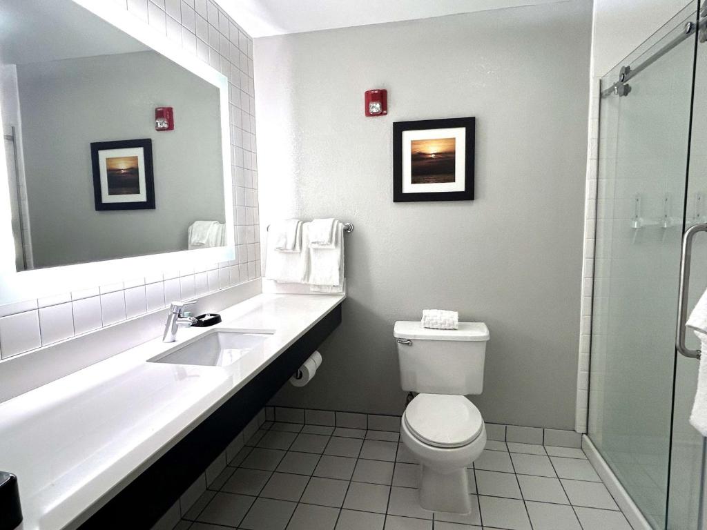 جناح بسرير كينج، Best Western Erie Inn & Suites 5/5