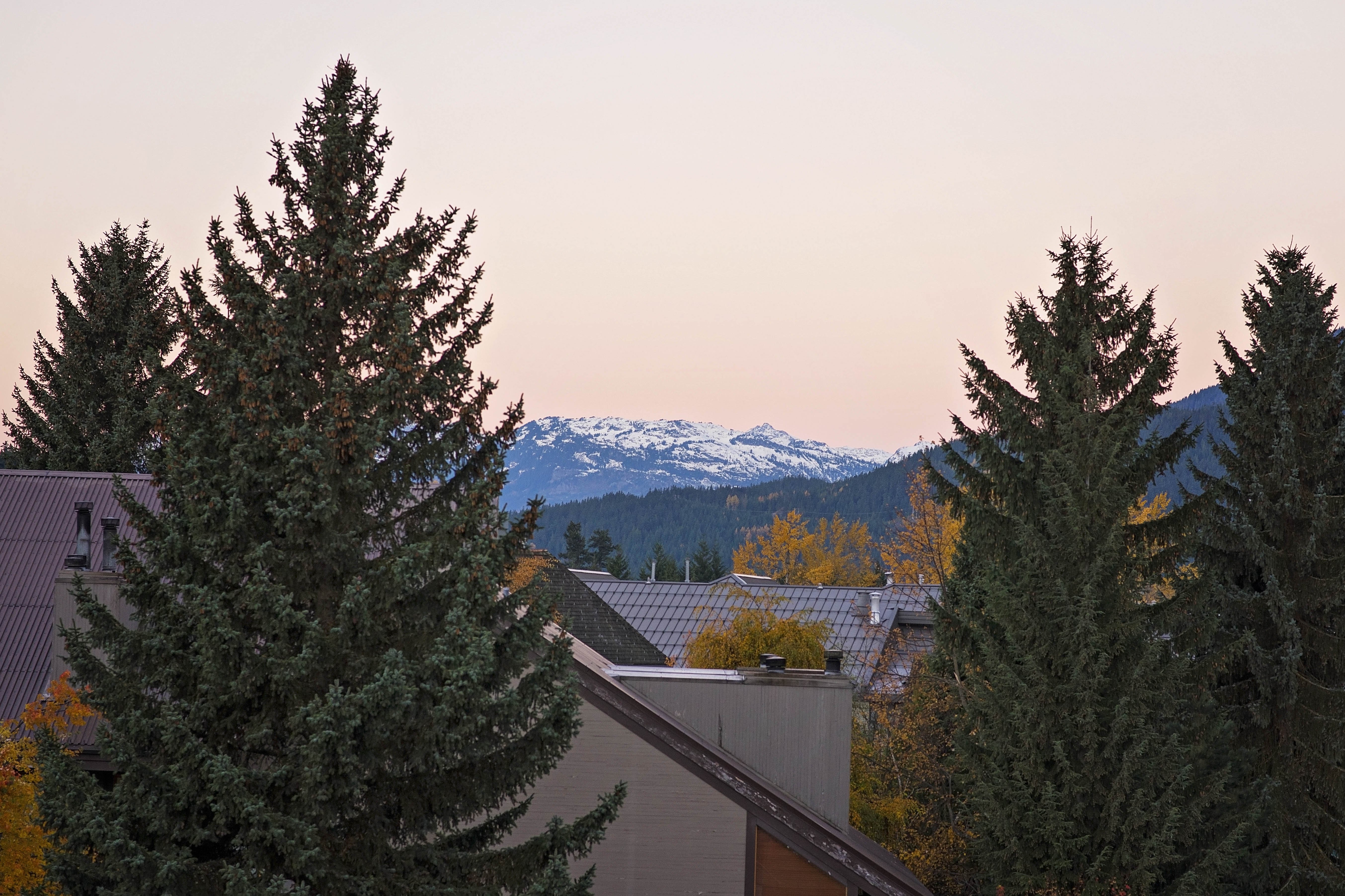 Whistler Village Inn Suites 69/73