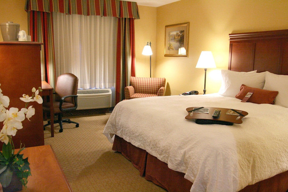 Hampton Inn And Suites Los Angeles Burbank Airport 15/42