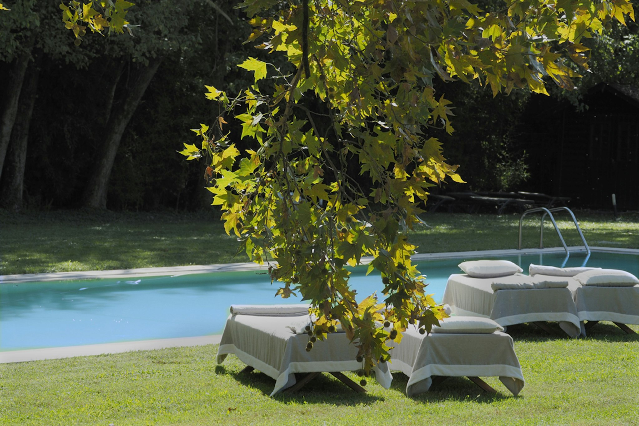 LA BARCHESSA DI VILLA PISANI 50/61