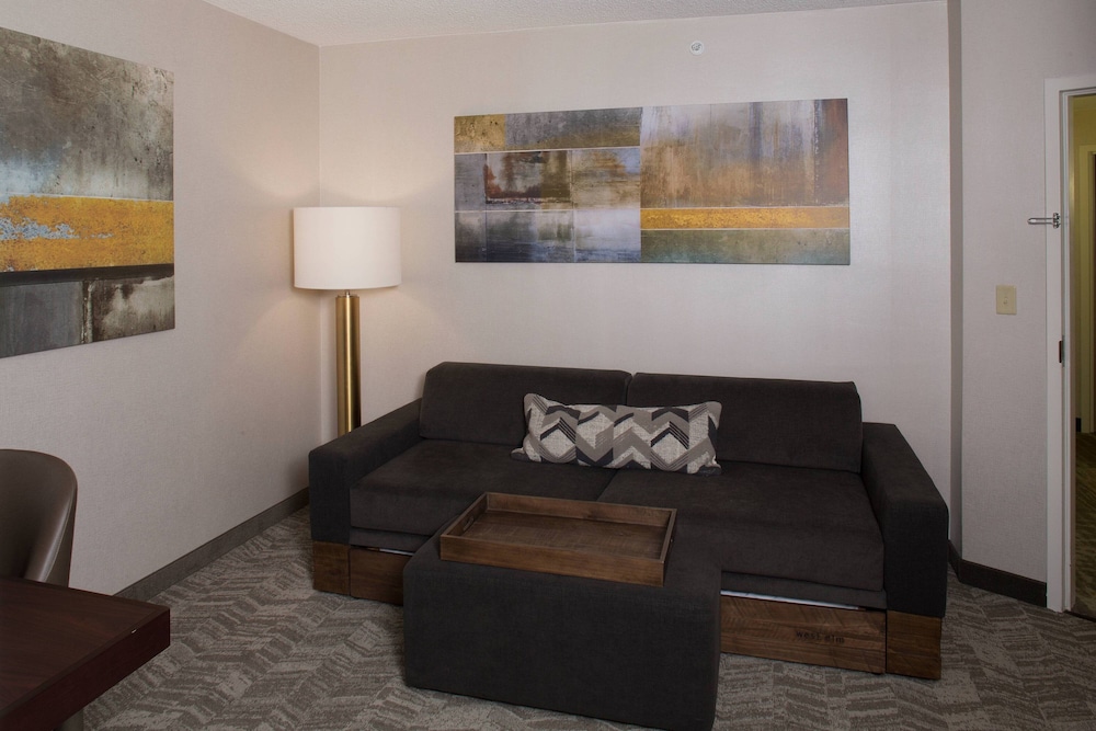 Springhill Suites Billings 37/56