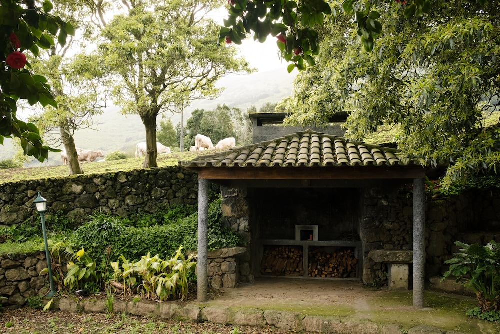 Adegas do Pico 4/50
