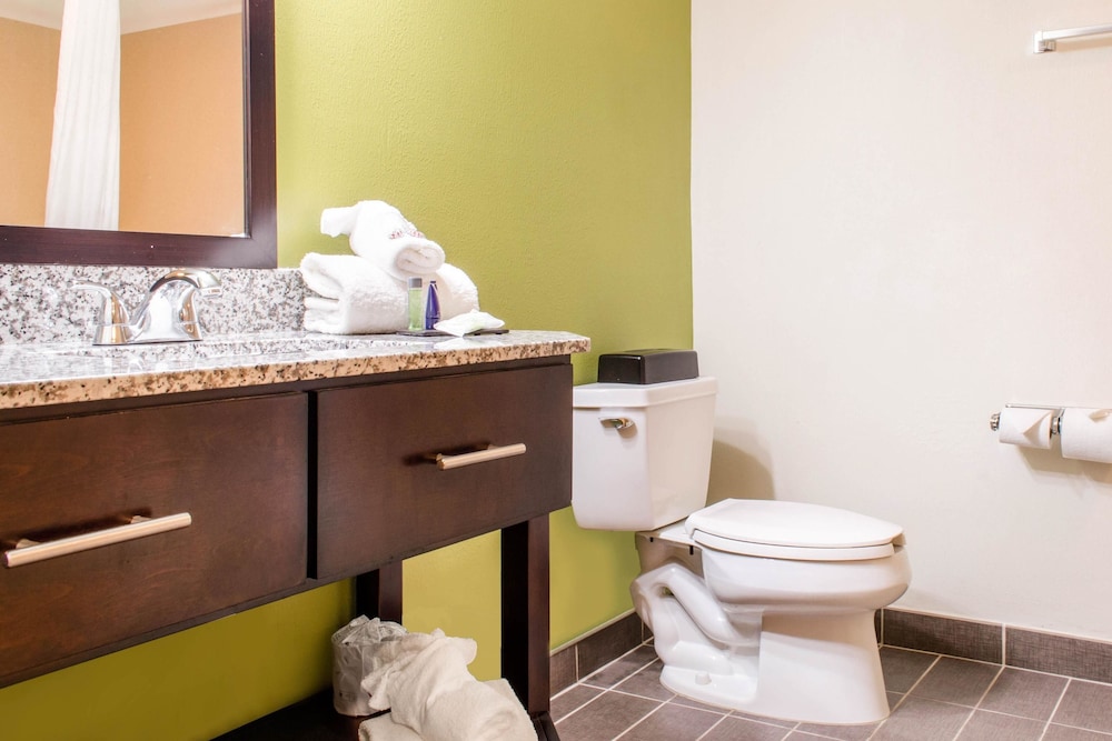 Sleep Inn & Suites Metairie - New Orleans West 14/37