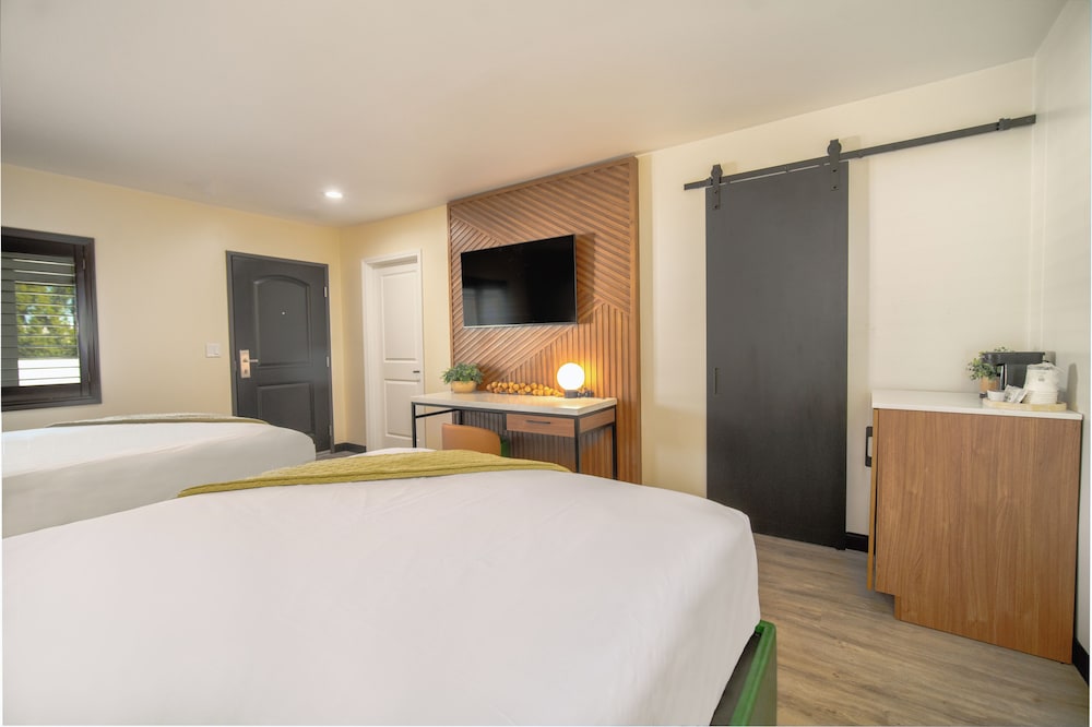 Executive, Single, 2 Queen Beds