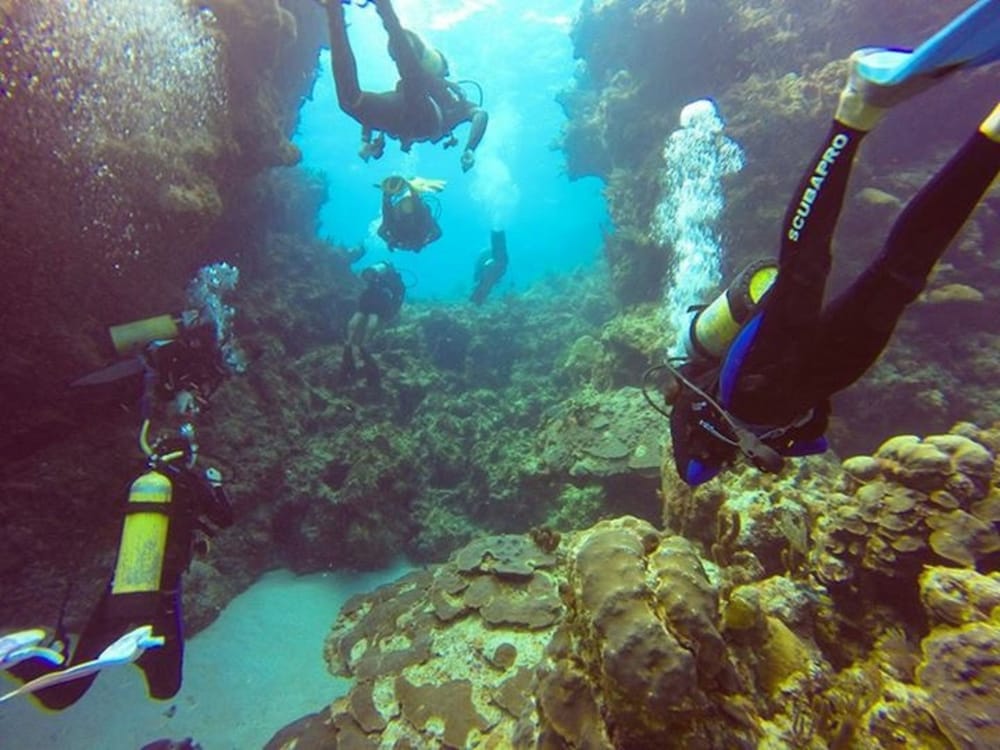 Green Turtle Club Resort Marina 43/46