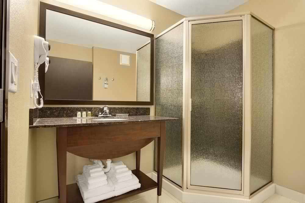 Microtel Inn and Suites By Wyndham Buda 18/40
