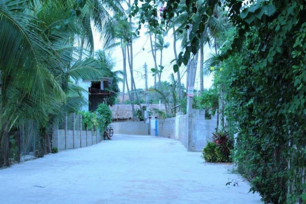 surroundings