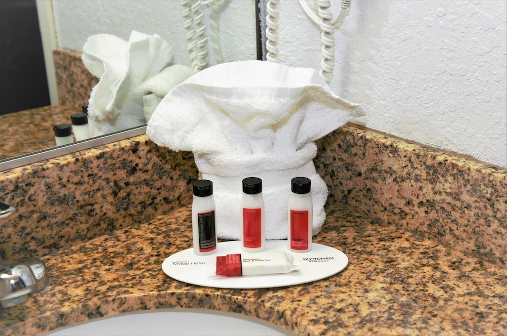 Microtel Inn & Suites by Wyndham Jacksonville Airport 14/40