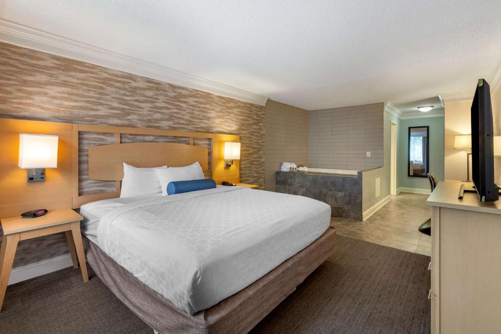 Suite, King Bed