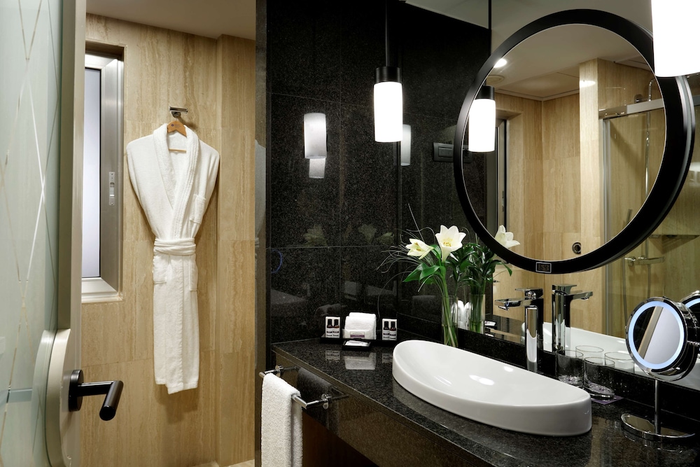 Hyatt Regency Hesperia Madrid 24/65
