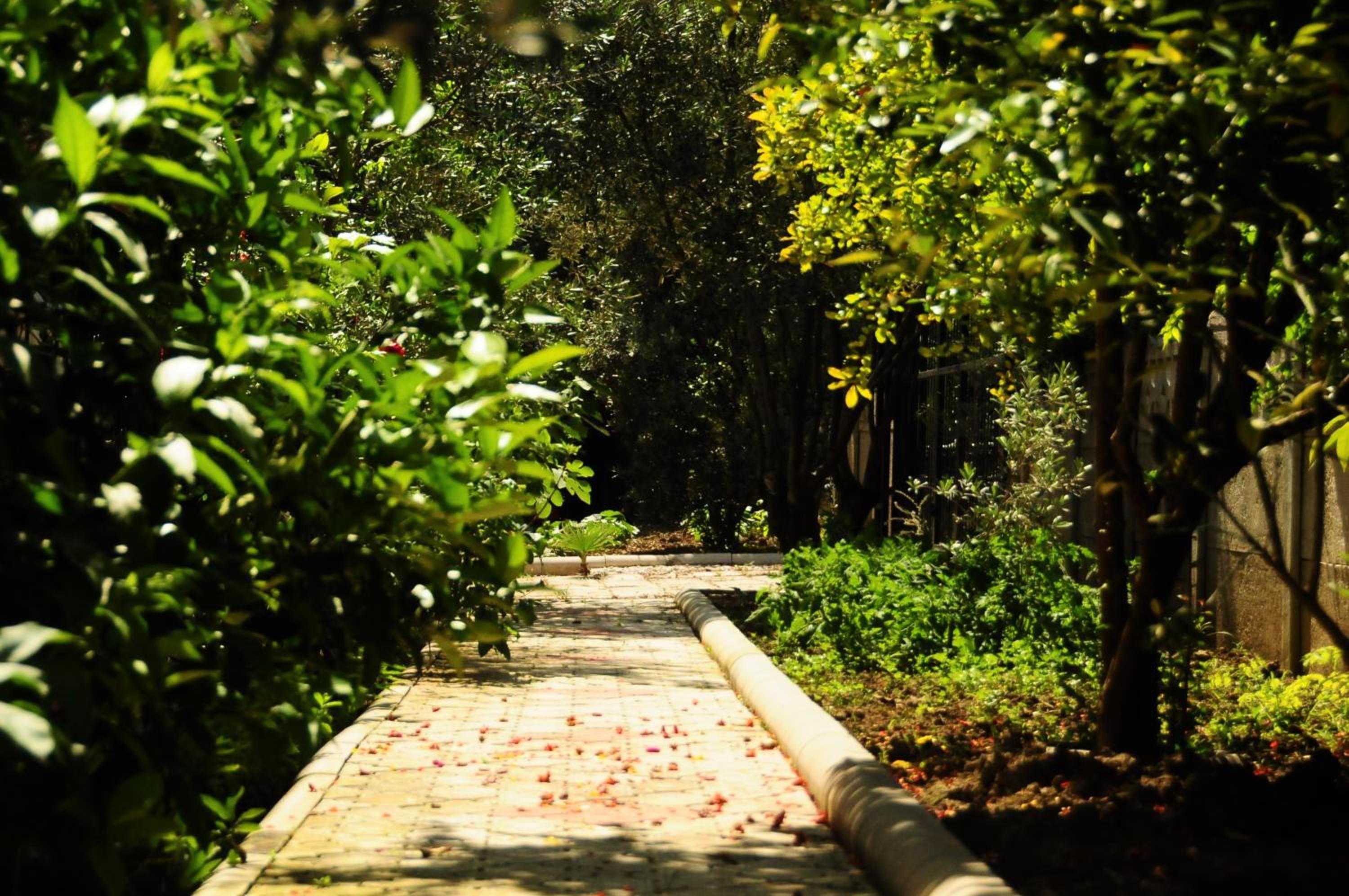 Kerem Apart Hotel 19/51