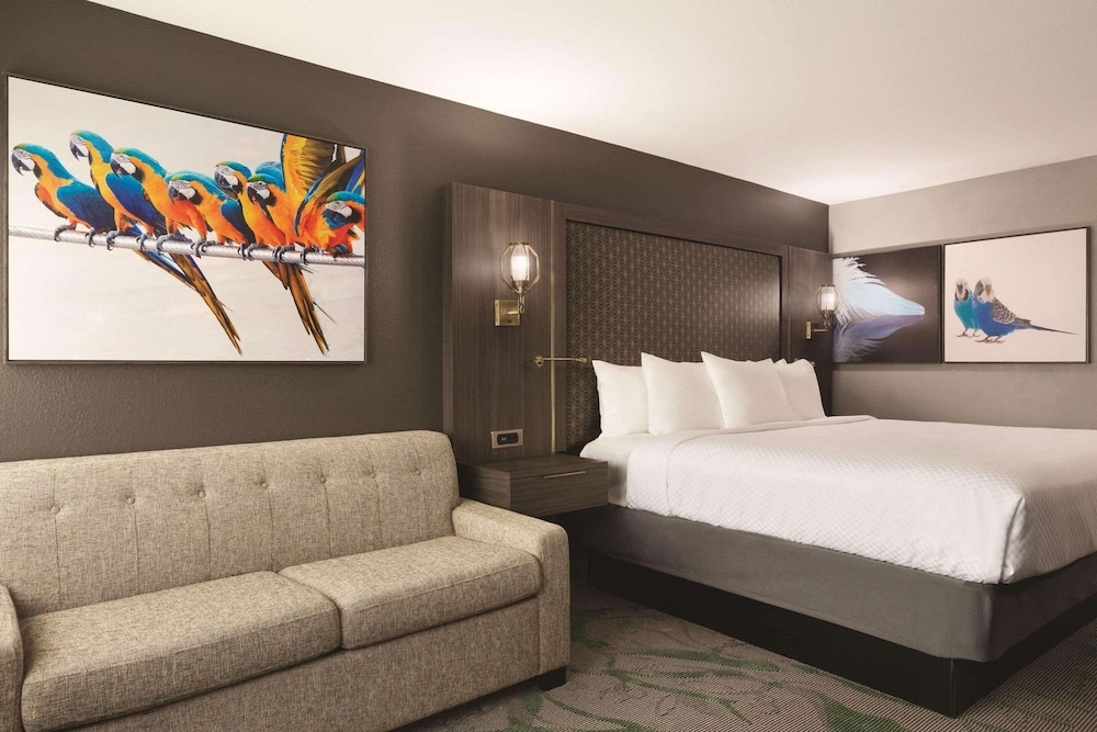 غرفة بريميوم بسرير كينج، Hotel Mcallen Airport 4/4