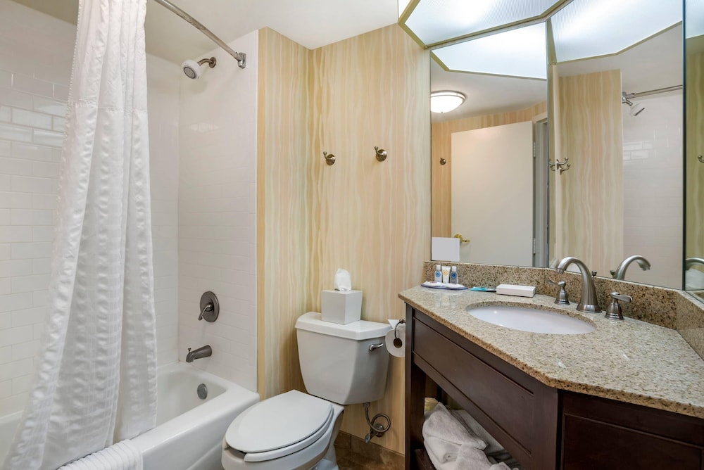 Comfort Inn Suites Newark Wilmington 60/65