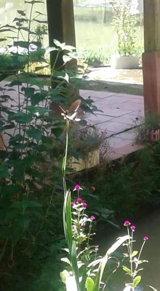 Linh Soi Homestay - Hostel 24/43