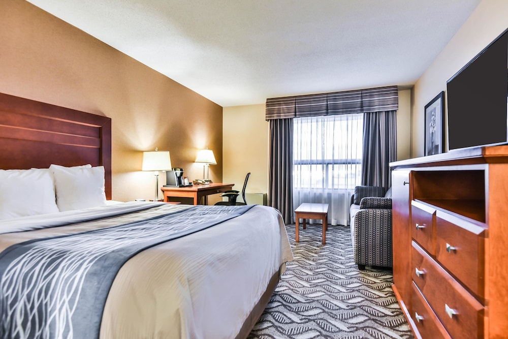 Comfort Inn & Suites Ambassador Bridge 11/39
