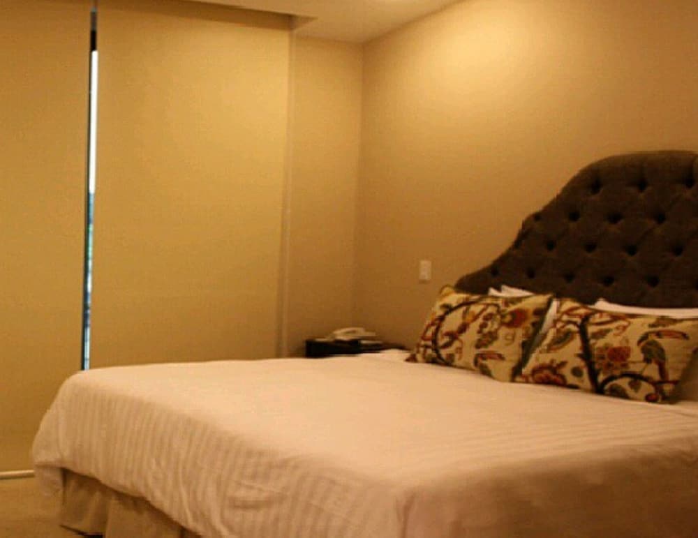Hotel Gran David 17/50