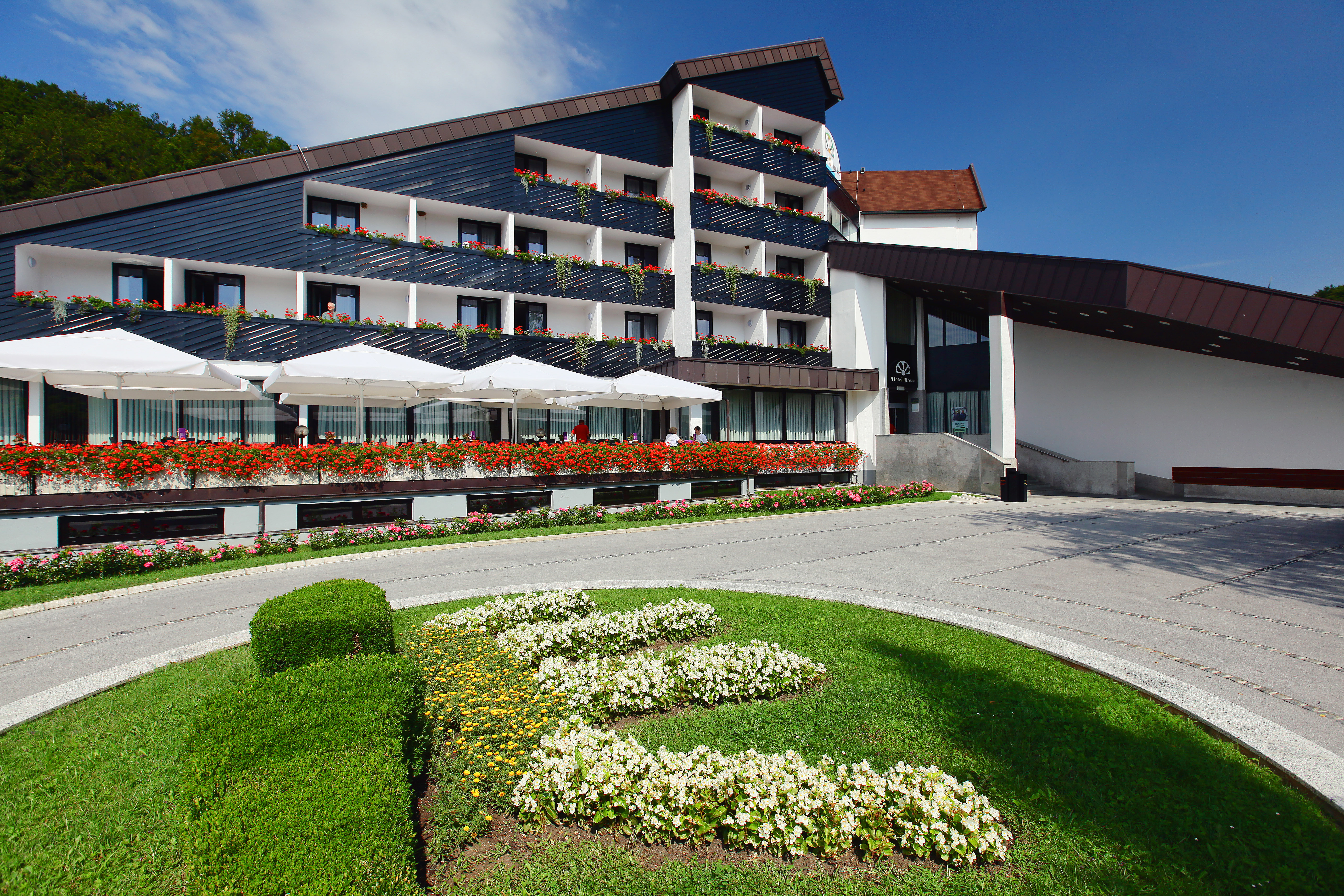 Hotel Breza in PODCETRTEK