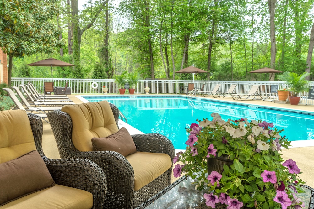 swimming pool spa