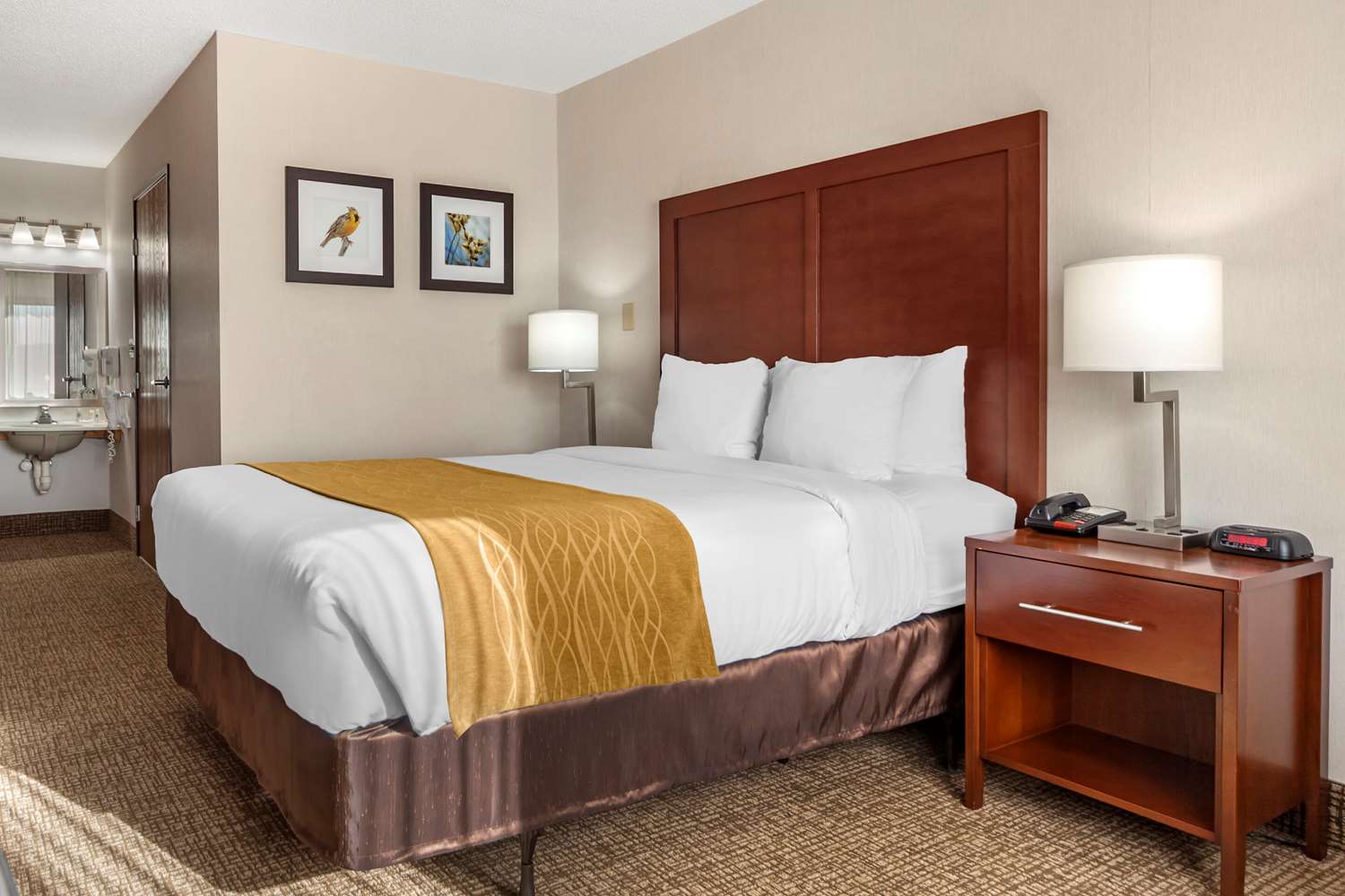Room, Queen Bed, Accessible