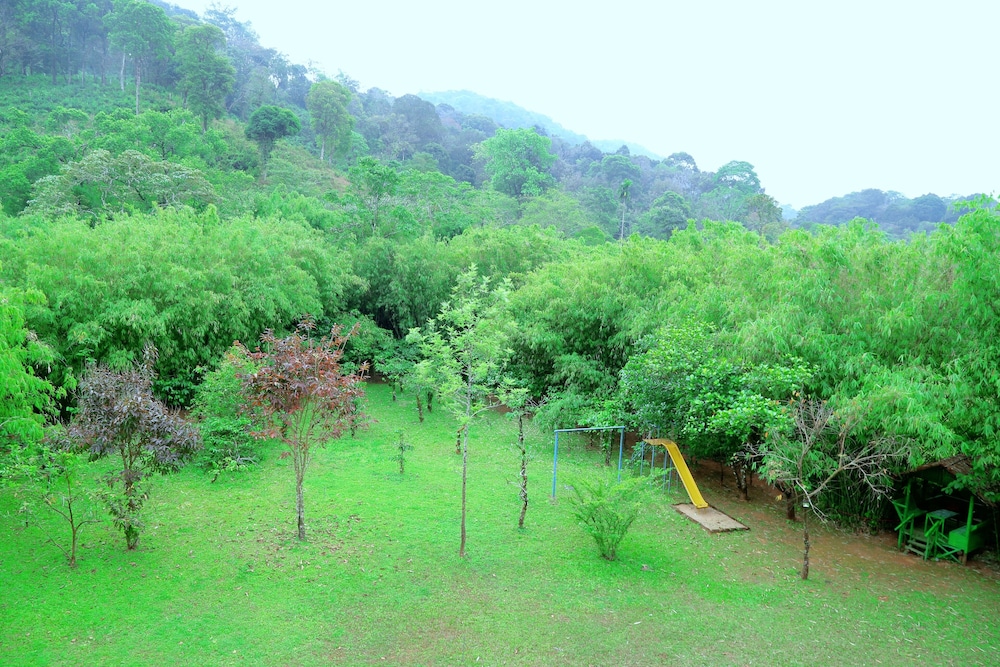 Vythiri Greens Resort 11/25