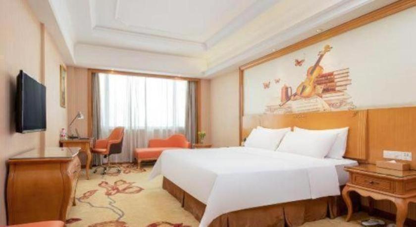 Vienna Hotel (Guangzhou Airport Road Huangshi) 20/60