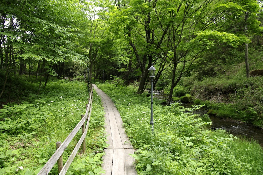 HOTEL FLORACION NASU 46/50