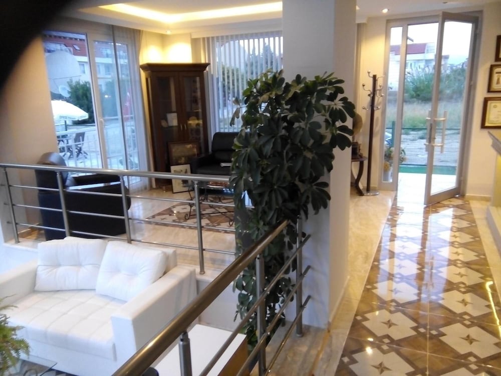 Dolunaydin 19/50