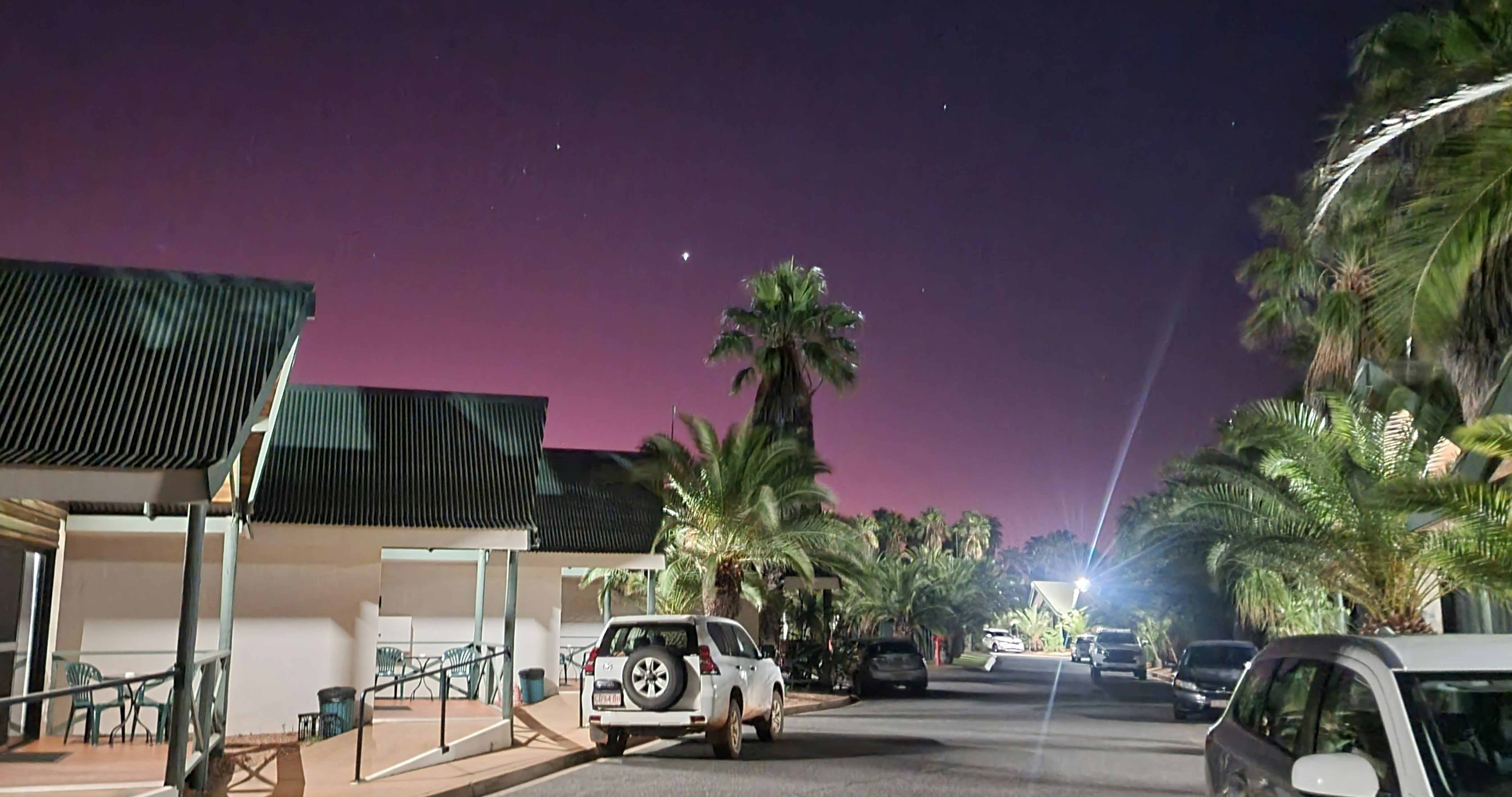 Desert Palms Alice Springs 3/28