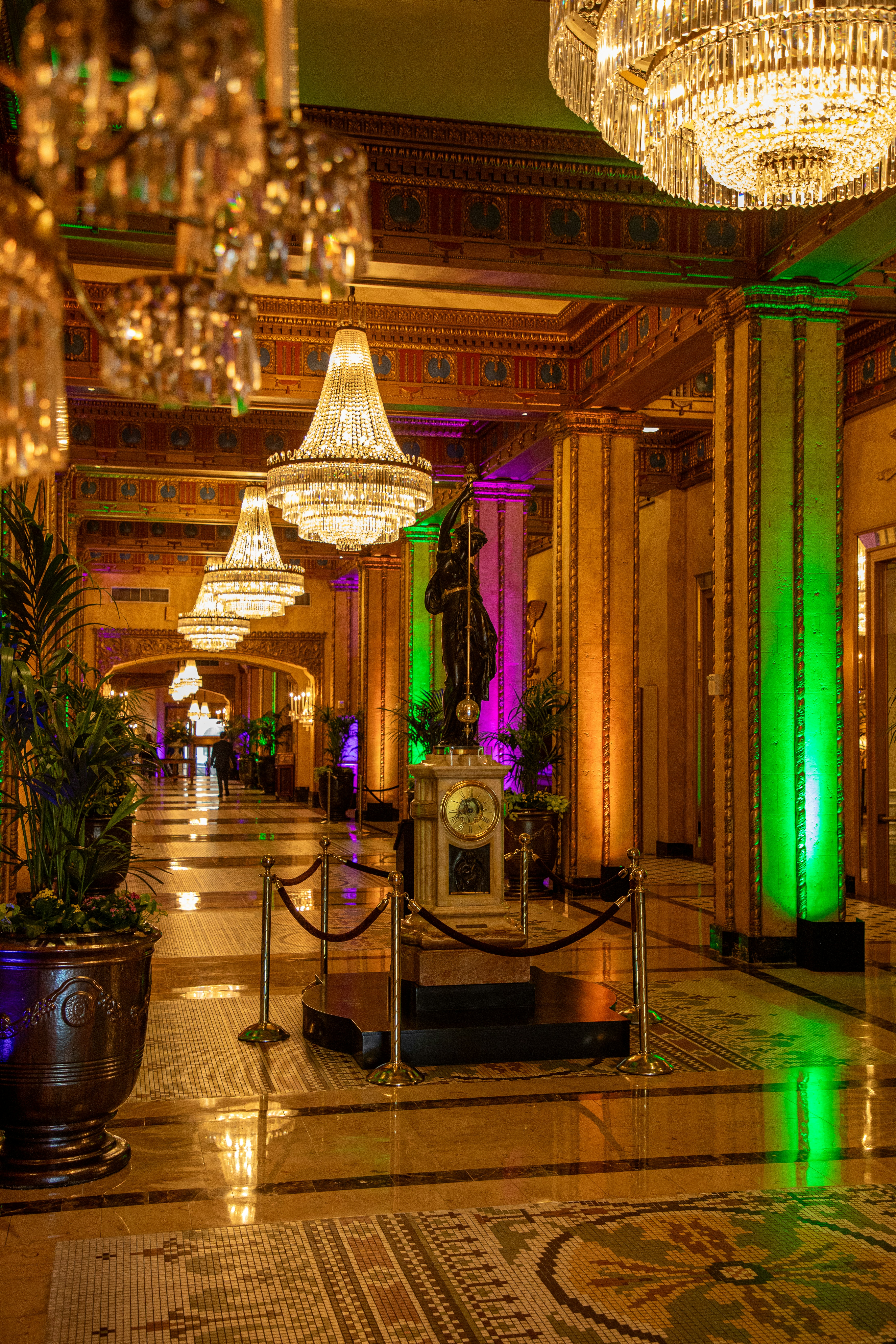纽奥良罗斯福华尔道夫酒店(The Roosevelt New Orleans, A Waldorf Astoria Hotel) 图片3