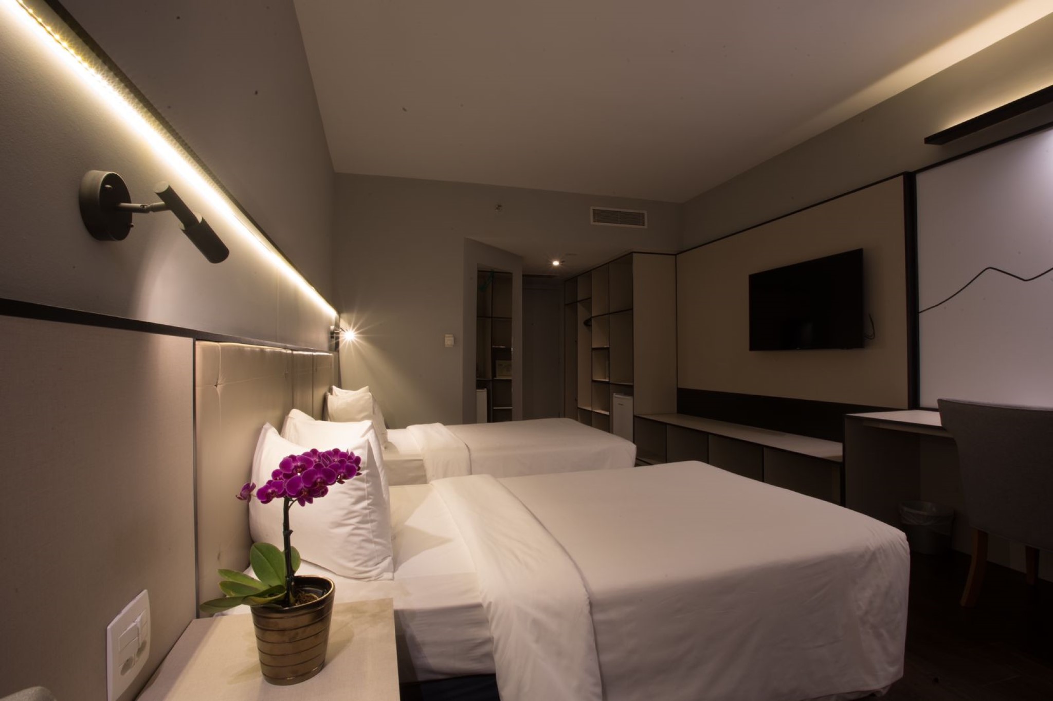 Superior, Suite, Twin Beds