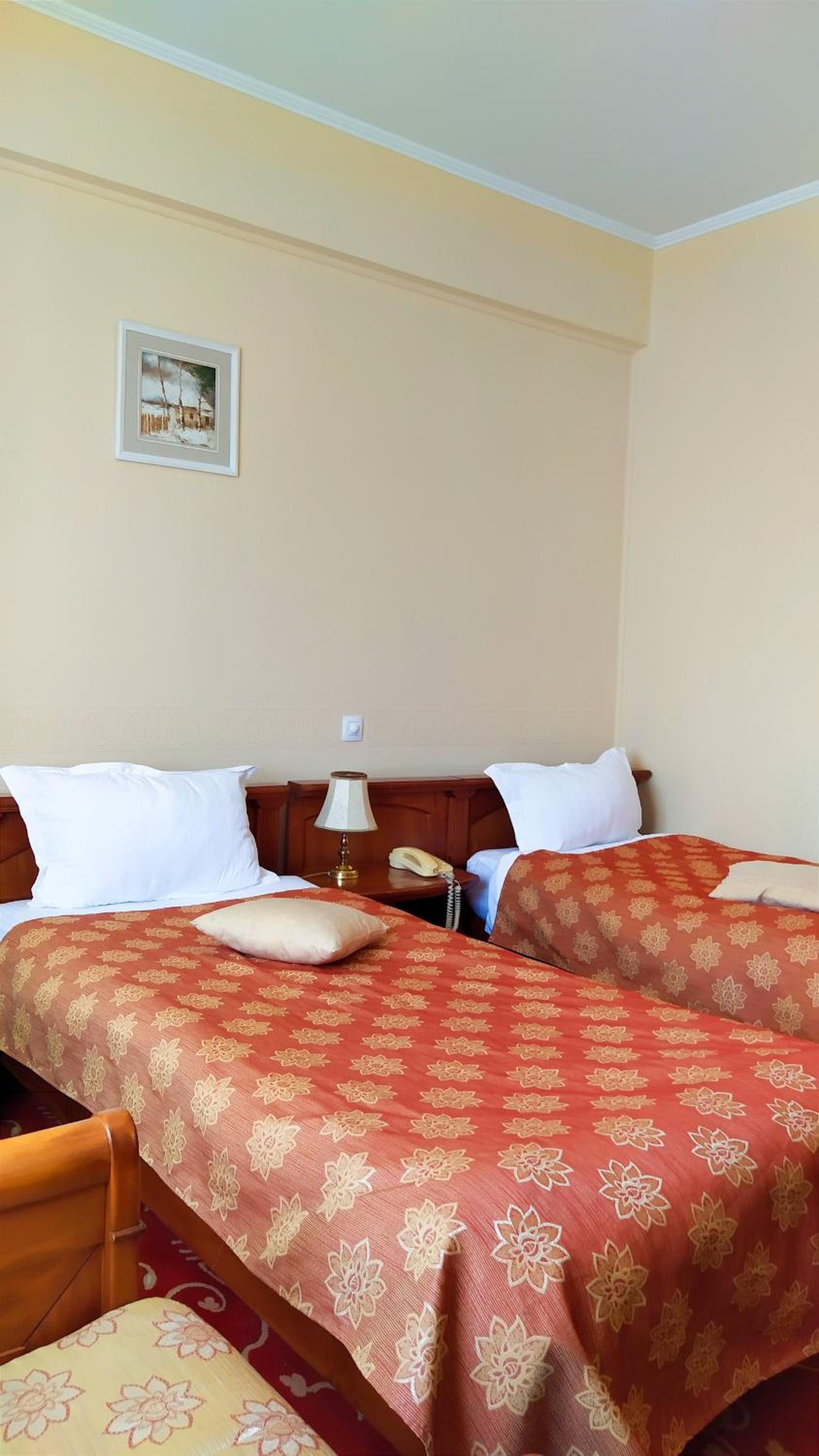 Room, Double or Twin Bed