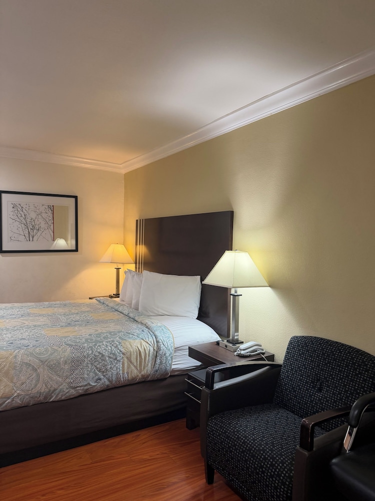 Lombard Plaza Motel 33/64