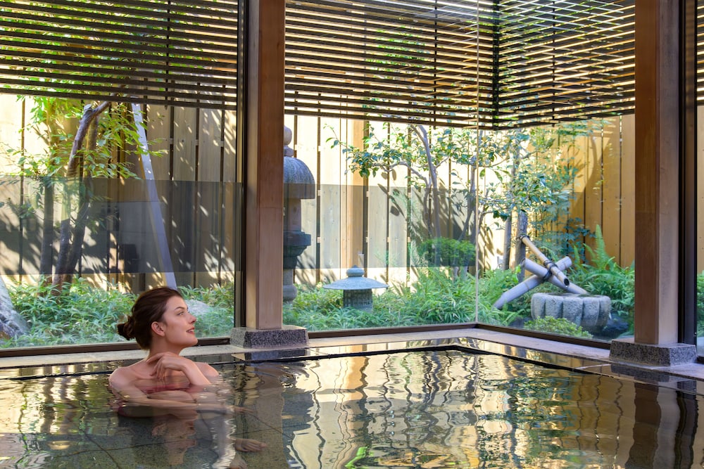 Hotel Hagoromo 23/50