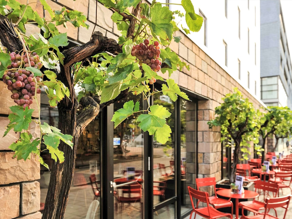 Ibis Rotterdam City Centre 6/64