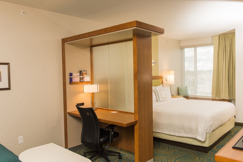 Springhill Suites Buffalo Airport 16/59