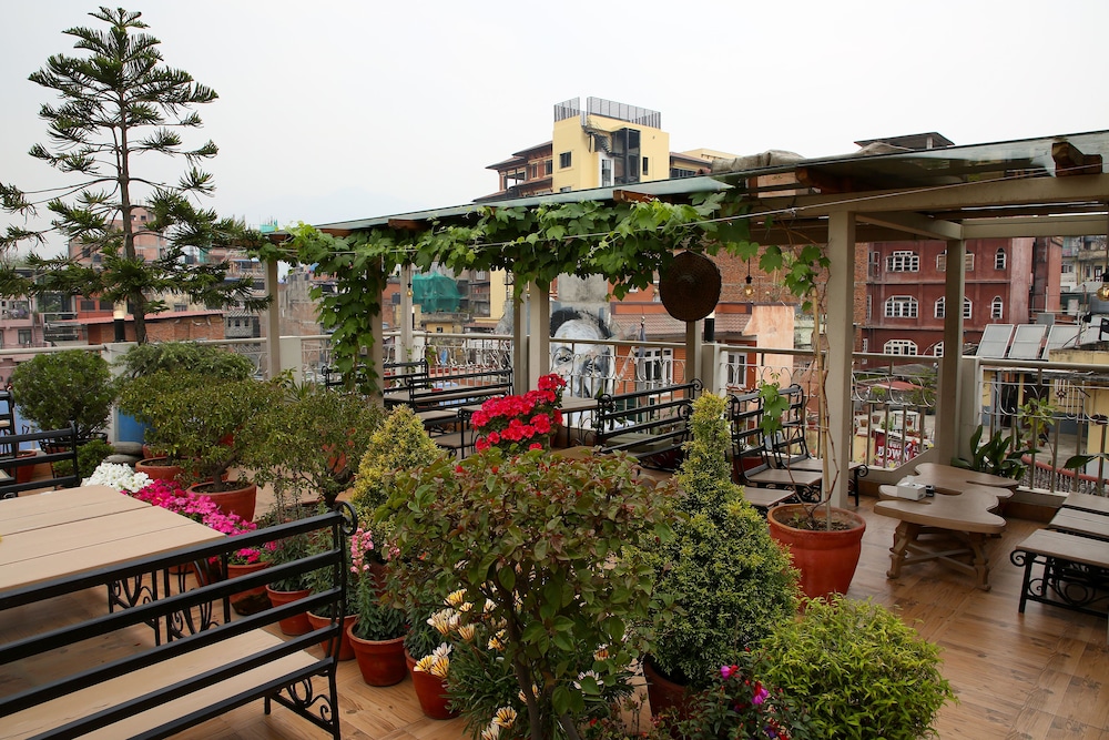 Hotel Himalayan Oasis 36/50
