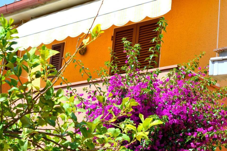 Hotel Anfora 3/50