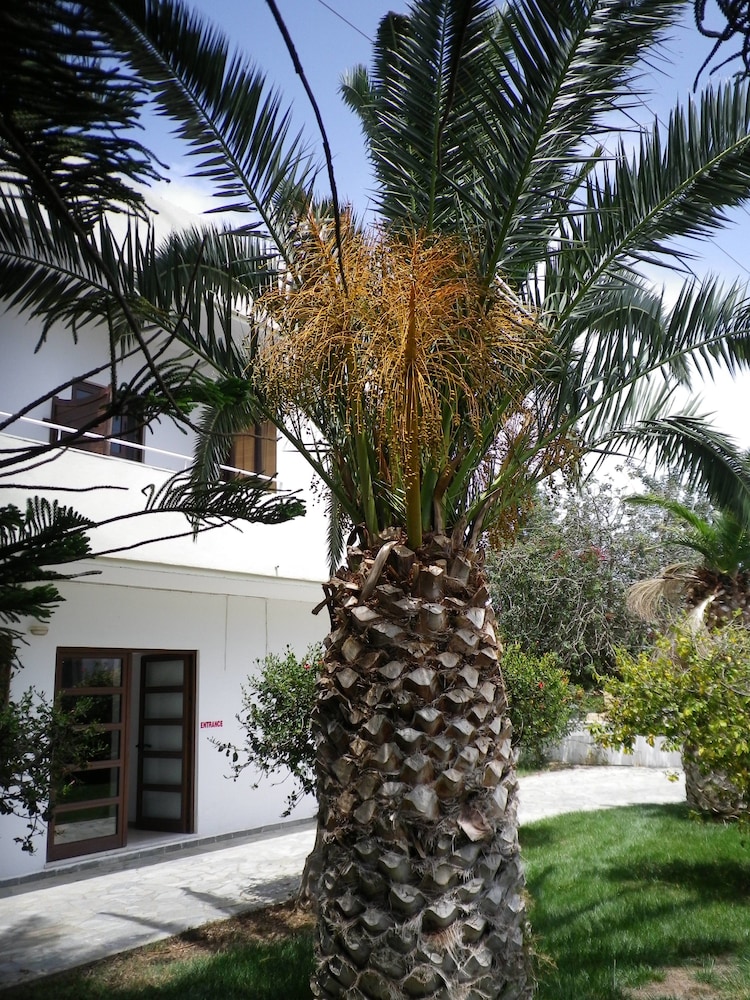 Mastorakis Hotel 62/69