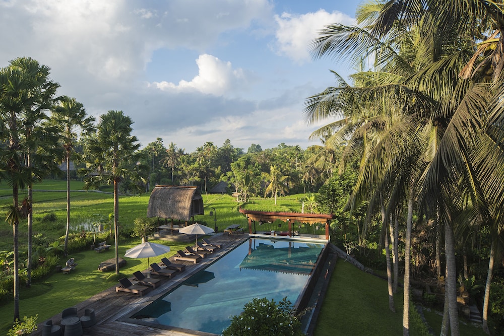 The Artini Resort 46/50