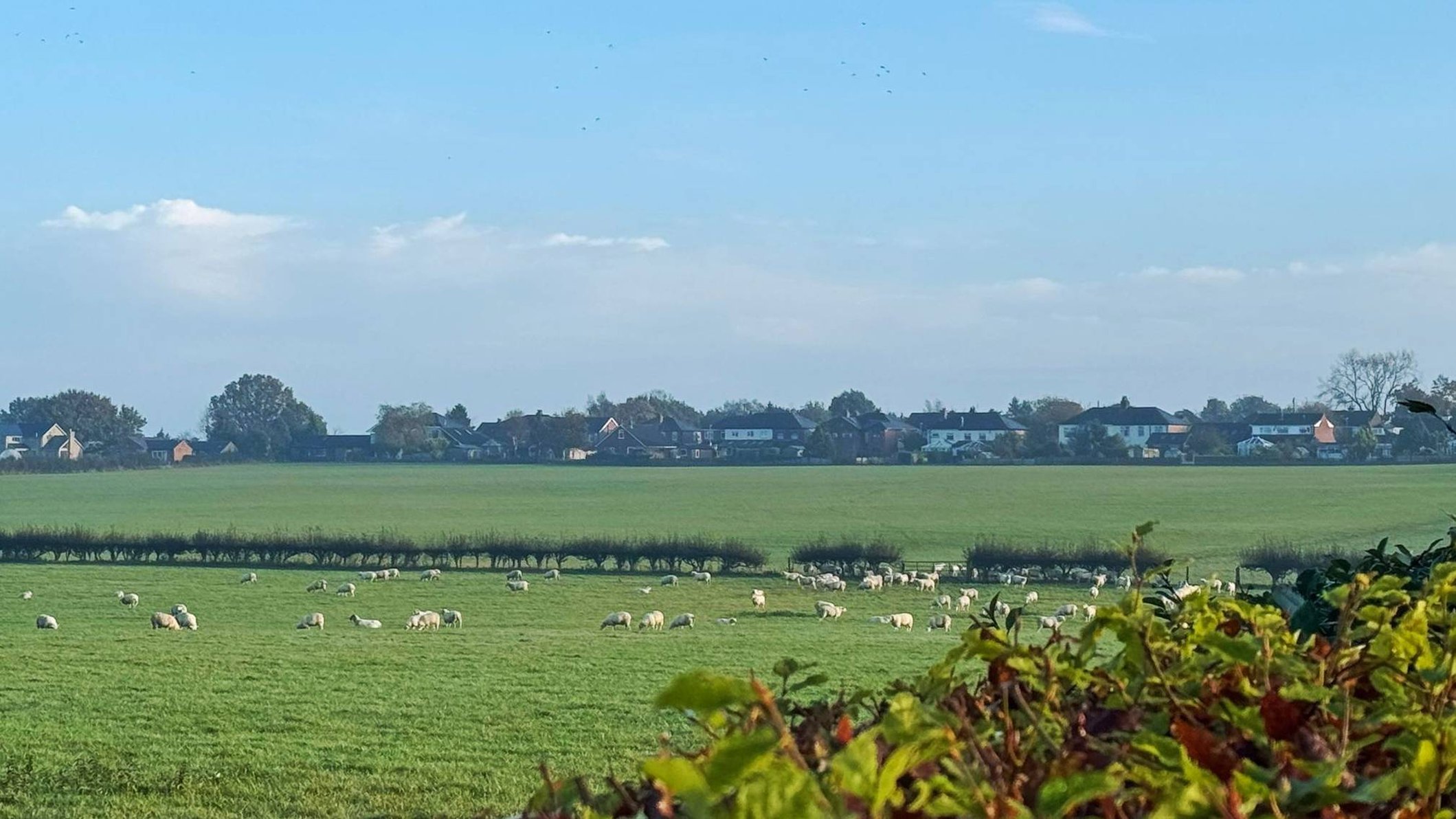 Wrightington Hotel And Country Club 75/80
